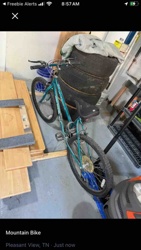 Teal Diamondback Ascent Mountain Bike