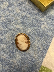 Shell Cameo Brooch/Pendant