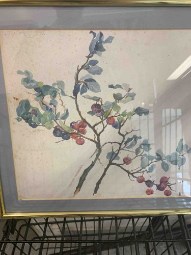 Botanical Watercolor Painting by Shirley Fumagalli