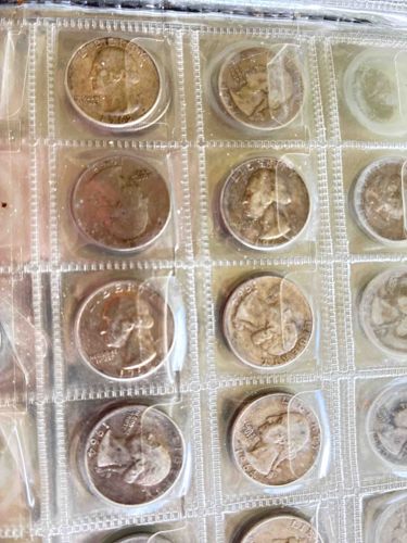 Coin Collection in Archival Pages