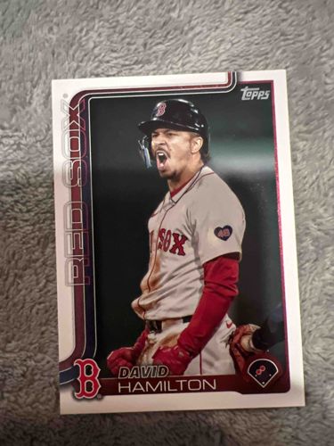 David Hamilton Boston Red Sox Baseball Card