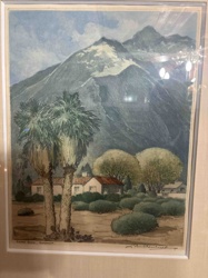 Desert Oasis, California (Palm Springs Landscape)