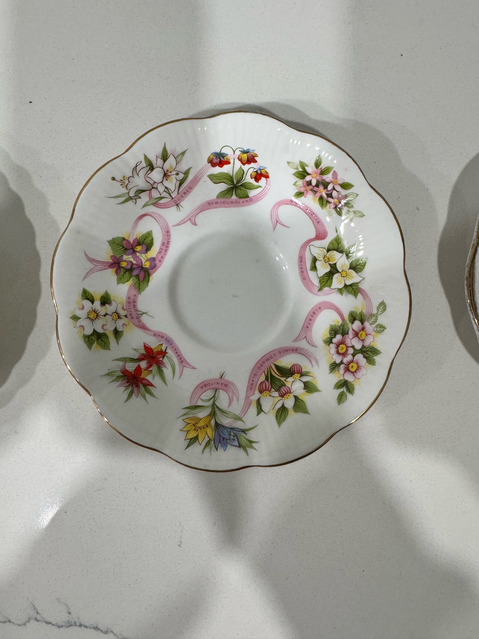 Submitted photo of Bone china saucer, attributed to Royal Albert (not authenticated)
