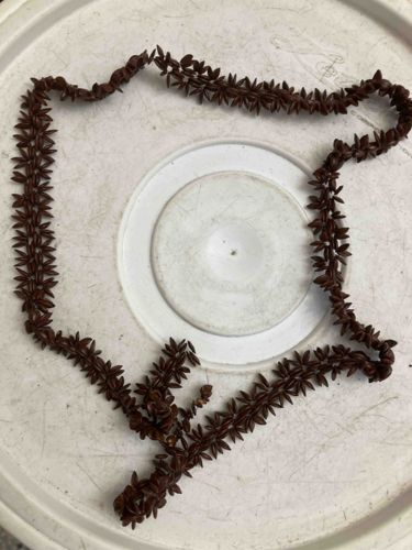 Brown Seed/Nut "Leaf" Necklace or Lei
