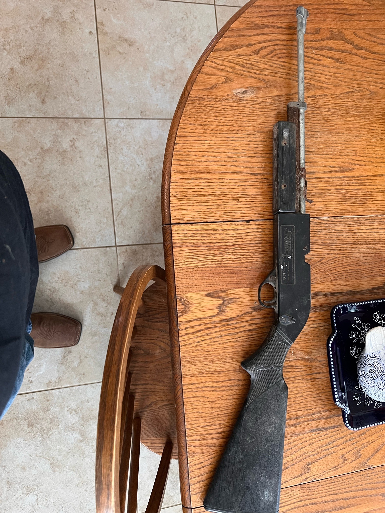 Submitted photo of Crosman Air Rifle (not authenticated)