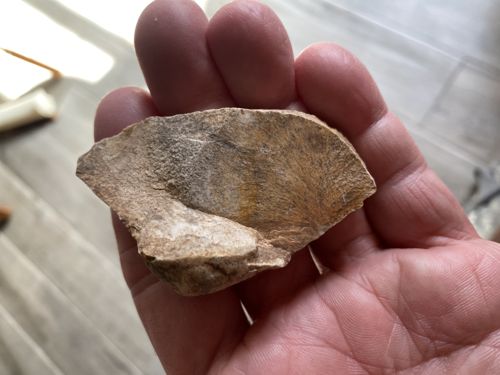 Paleolithic Chert Scraping Tool