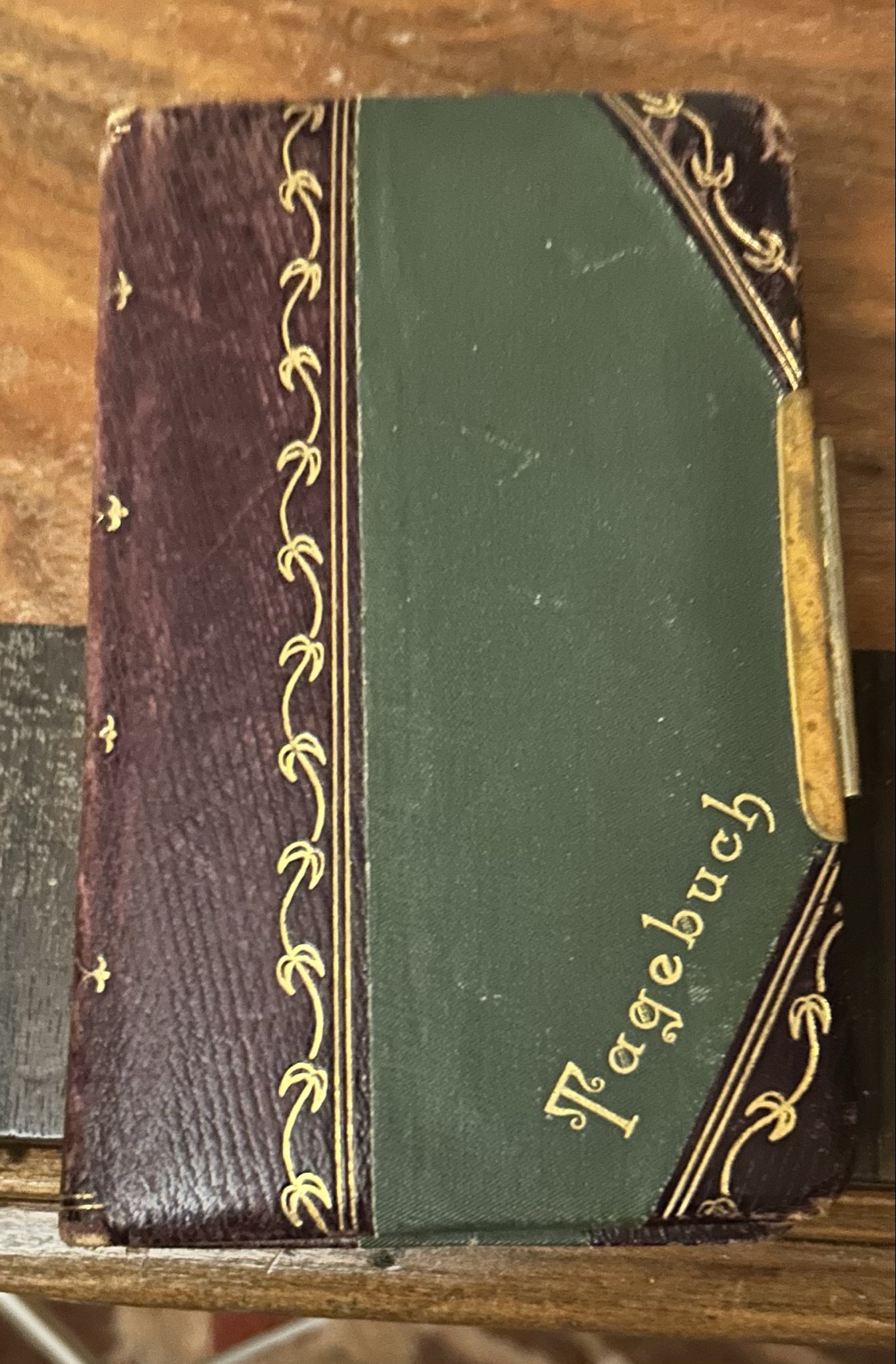 Submitted photo of Leather-bound journal