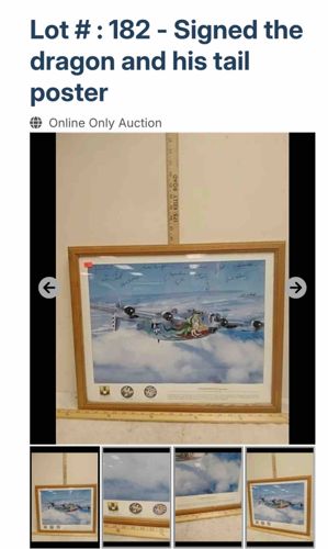 Signed 'The Dragon and His Tail' Military Aircraft Poster
