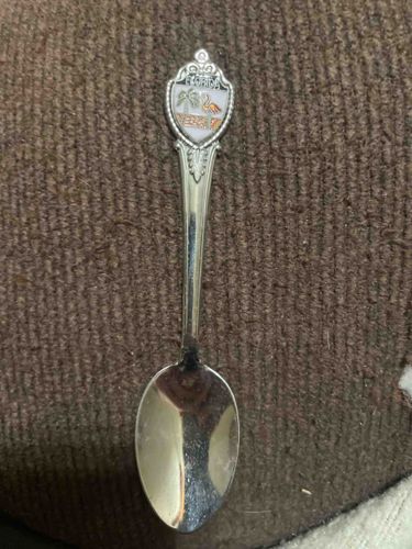 Florida Souvenir Spoon with Enamel Crest
