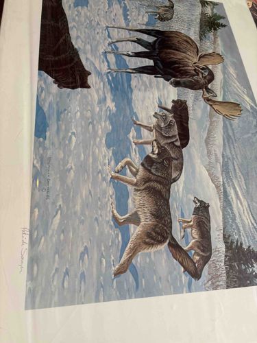 Limited Edition Wildlife Art Print, 'Challenge' by Patrick Sawyran (1986)
