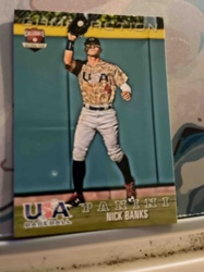 Panini Nick Banks Collegiate/USA Baseball Game Action Trading Card