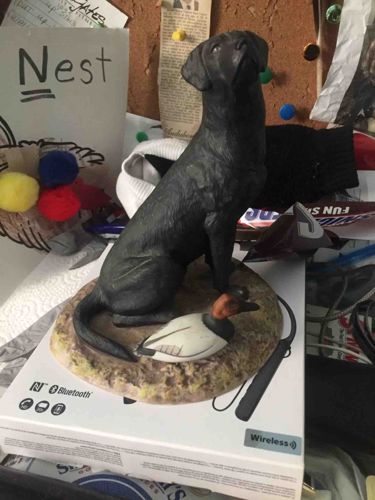Black Labrador and Duck Figurine