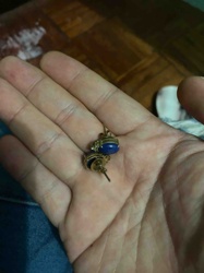Pair of Blue Stone Earrings