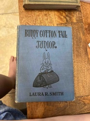 Bunny Cotton Tail Junior by Laura R. Smith
