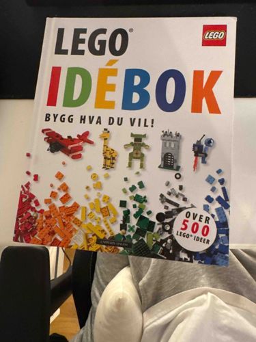 LEGO Idébok: Bygg Hva Du Vil! (LEGO Idea Book: Build What You Want!)