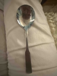 Metal Table Spoon