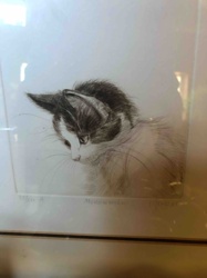 Limited Edition Cat Etching 'Meisterschwänzchen'
