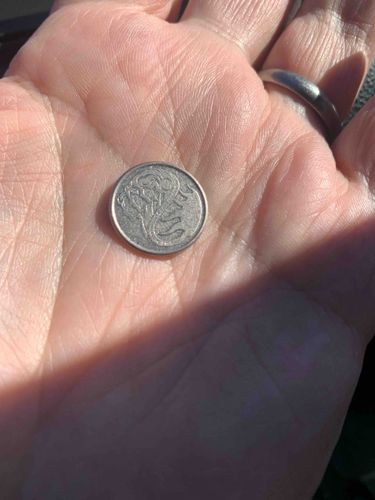 Australian 20-Cent Coin (Reverse Side)