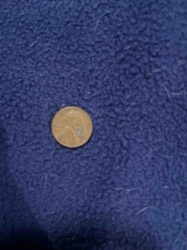 Lincoln Cent (Penny)