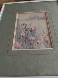 Framed Watercolor Print of Irises