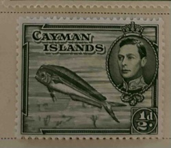 Cayman Islands 1 1/2d Stamp featuring King George VI and Dolphin-Fish