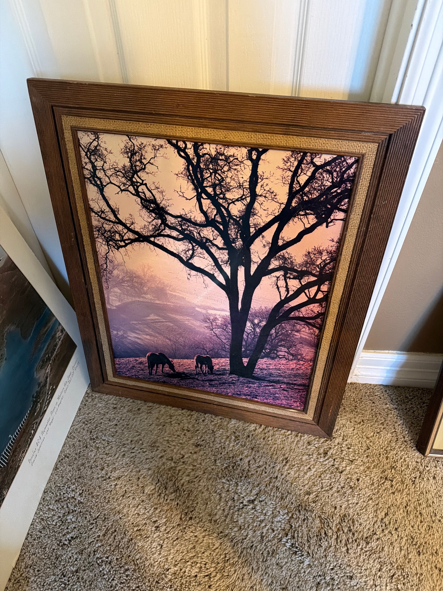 Submitted item photo