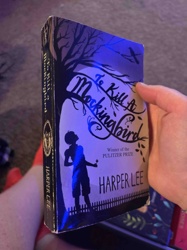 To Kill a Mockingbird by Harper Lee (Paperback Edition)