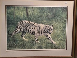 White Tiger Limited Edition Print by Charles Frace