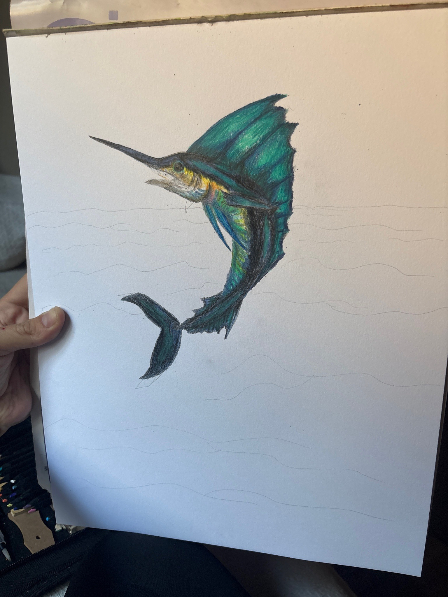 Submitted photo of Colored pencil drawing of a sailfish (unverified)
