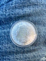 Morgan Silver Dollar in Protective Capsule