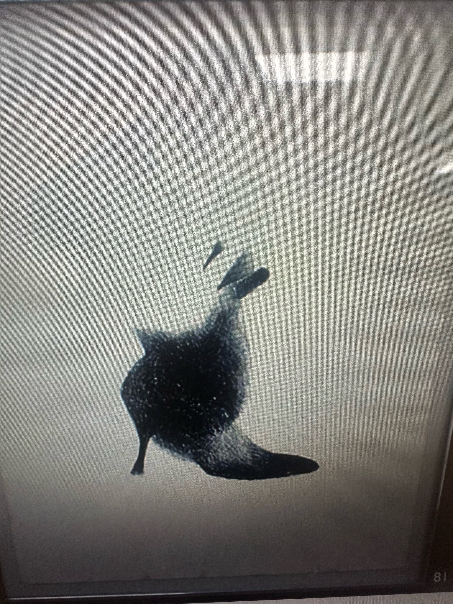 Submitted item photo