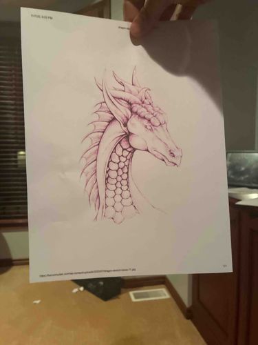 Dragon Head Profile Sketch Print