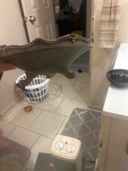 Ornate Decorative Bowl or Planter