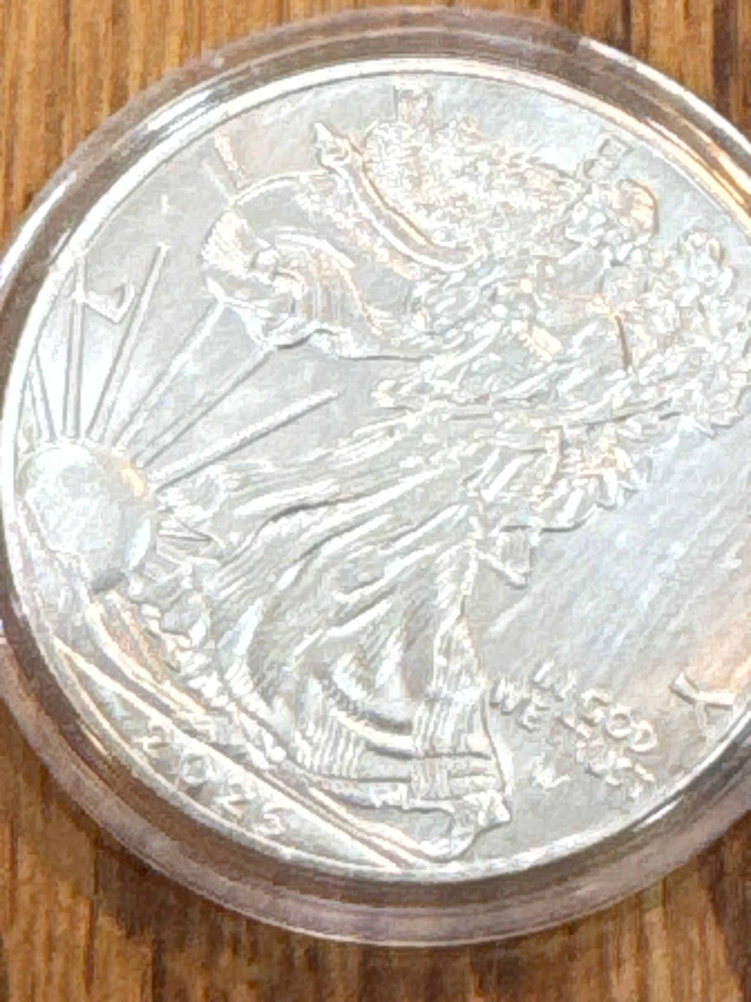Submitted photo of American Silver Eagle Bullion Coin (not authenticated)