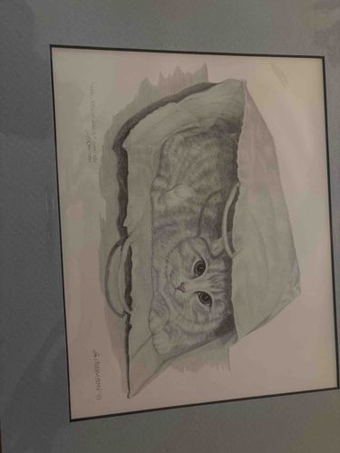 Signed Graphite Cat Illustration by B. Johnson, 1981