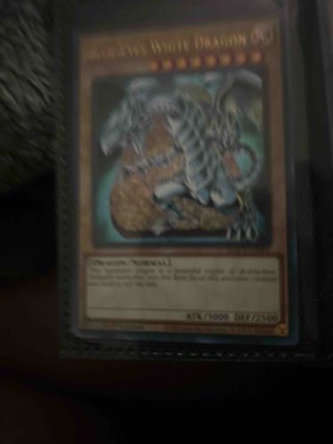 Blue-Eyes White Dragon Yu-Gi-Oh! Trading Card