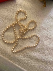 Single Strand Pearl Necklace