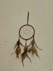 Coiled Web Dreamcatcher with Feathers
