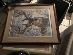 Framed Deer Print