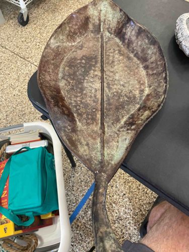 Metal Leaf-Shaped Dish or Sculpture
