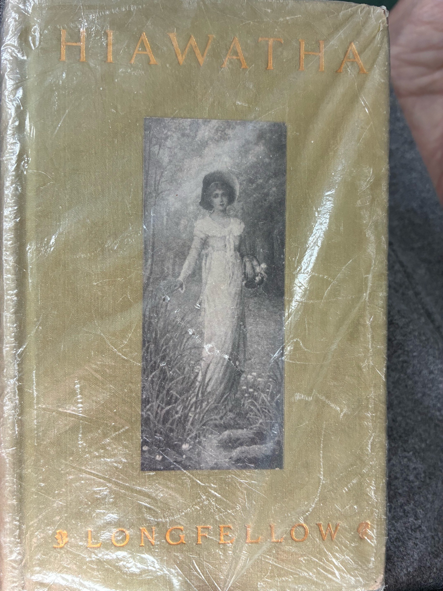 Submitted photo of The Song of Hiawatha by Henry Wadsworth Longfellow (unauthenticated)