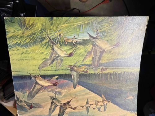 Wildlife Art Print Featuring Flying Ducks