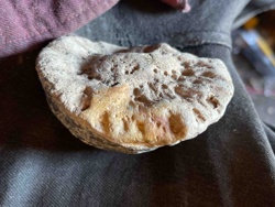 Weathered Stone Concretion / Geode Fragment