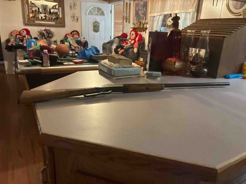 Lever-Action Rifle