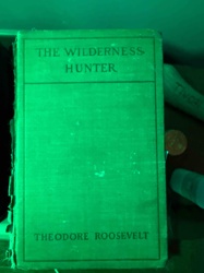 The Wilderness Hunter by Theodore Roosevelt