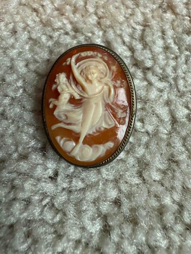 Carved Shell Cameo Brooch/Pendant