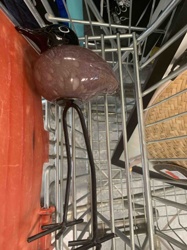 Blown Glass Bird Sculpture on Metal Stand