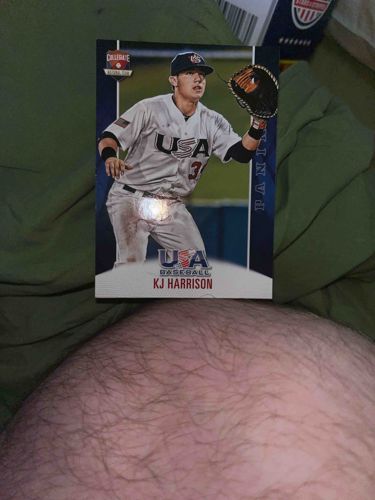 KJ Harrison Panini Collegiate USA Baseball Trading Card