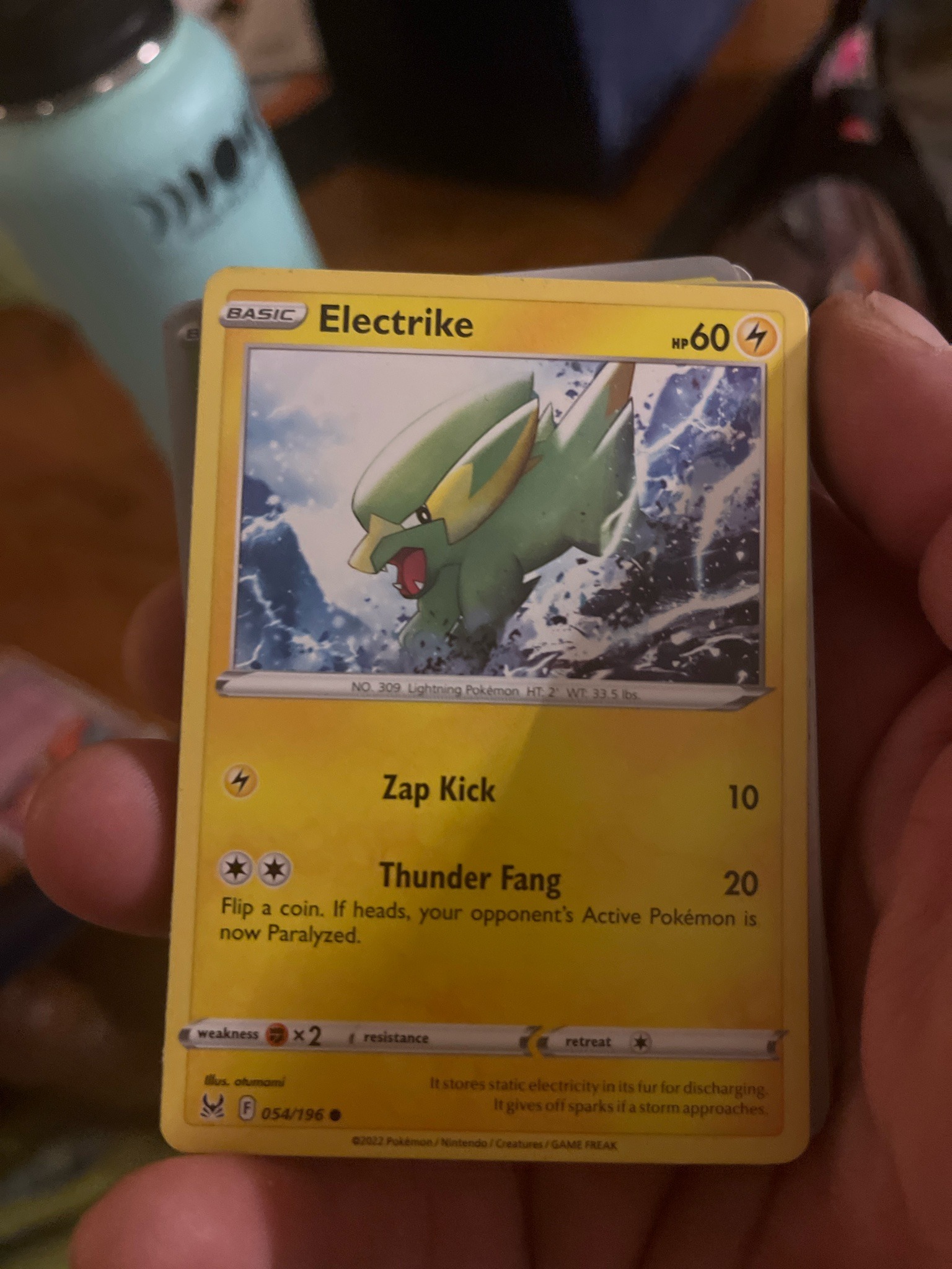 Submitted photo of Electrike Pokemon Trading Card (not authenticated)