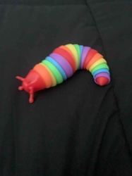 Rainbow Articulated Slug Fidget Toy
